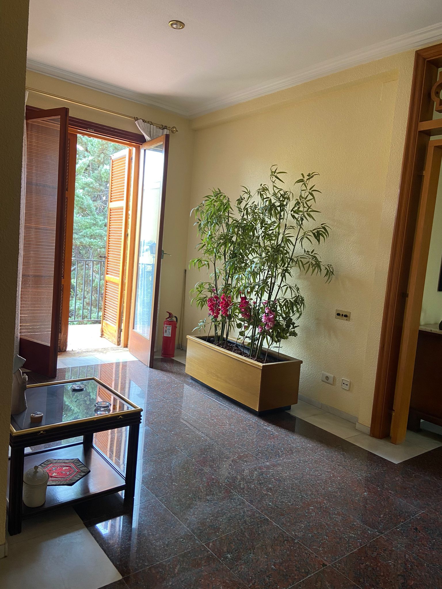 PHOTO-2022-05-11-10-20-40 (1)