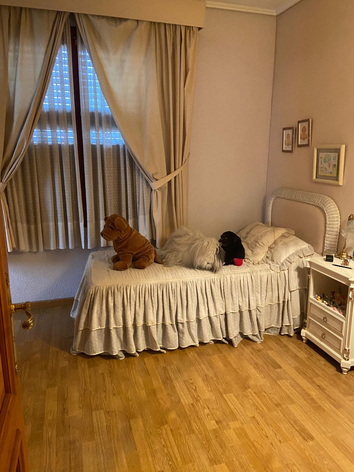 PHOTO-2022-05-11-10-21-52