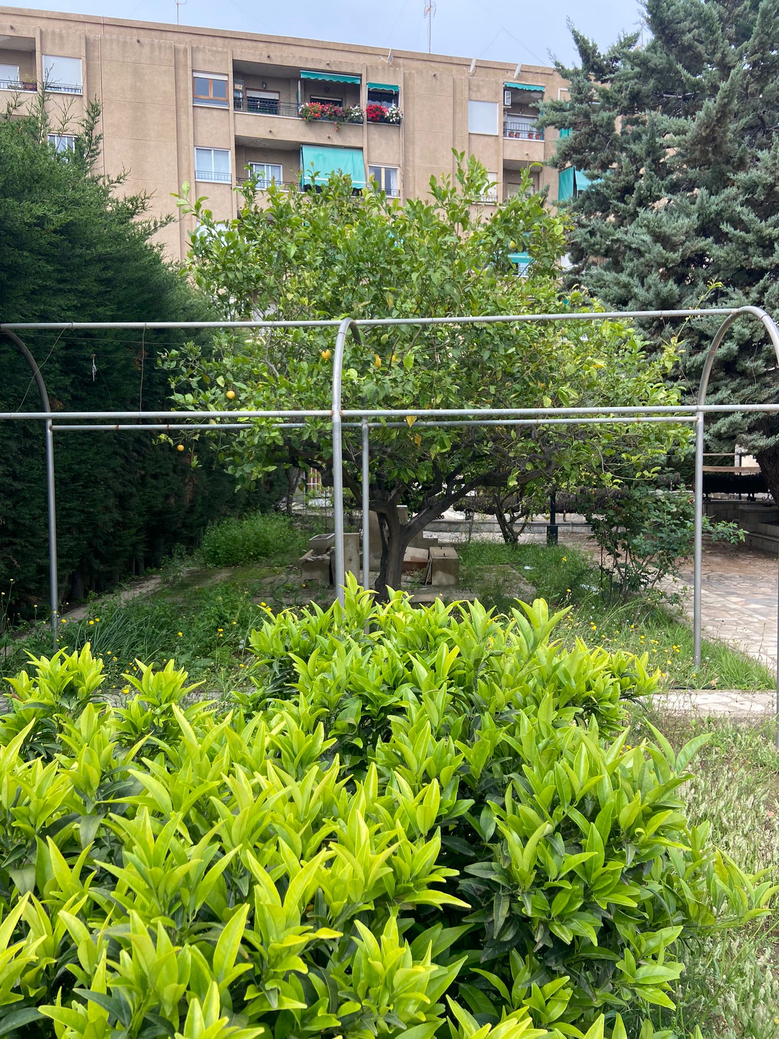 PHOTO-2022-05-11-10-24-27