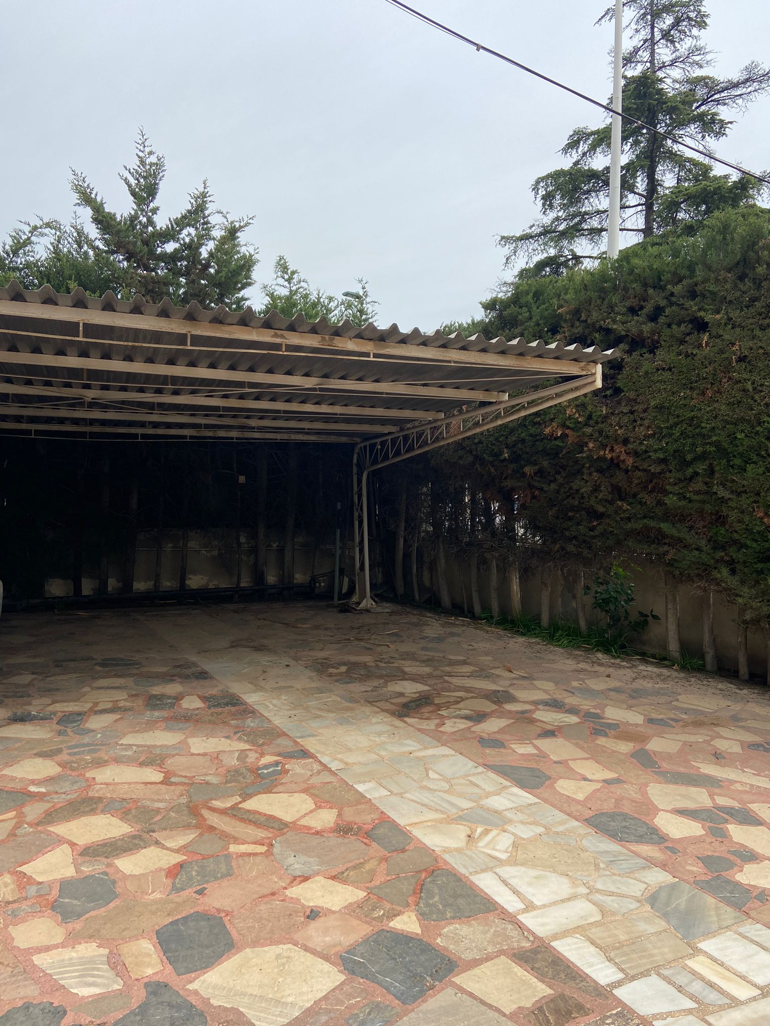 PHOTO-2022-05-11-10-24-31 (1)