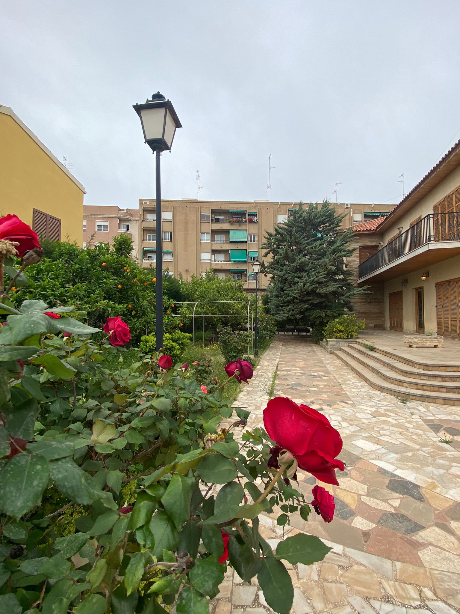 PHOTO-2022-05-11-10-24-55