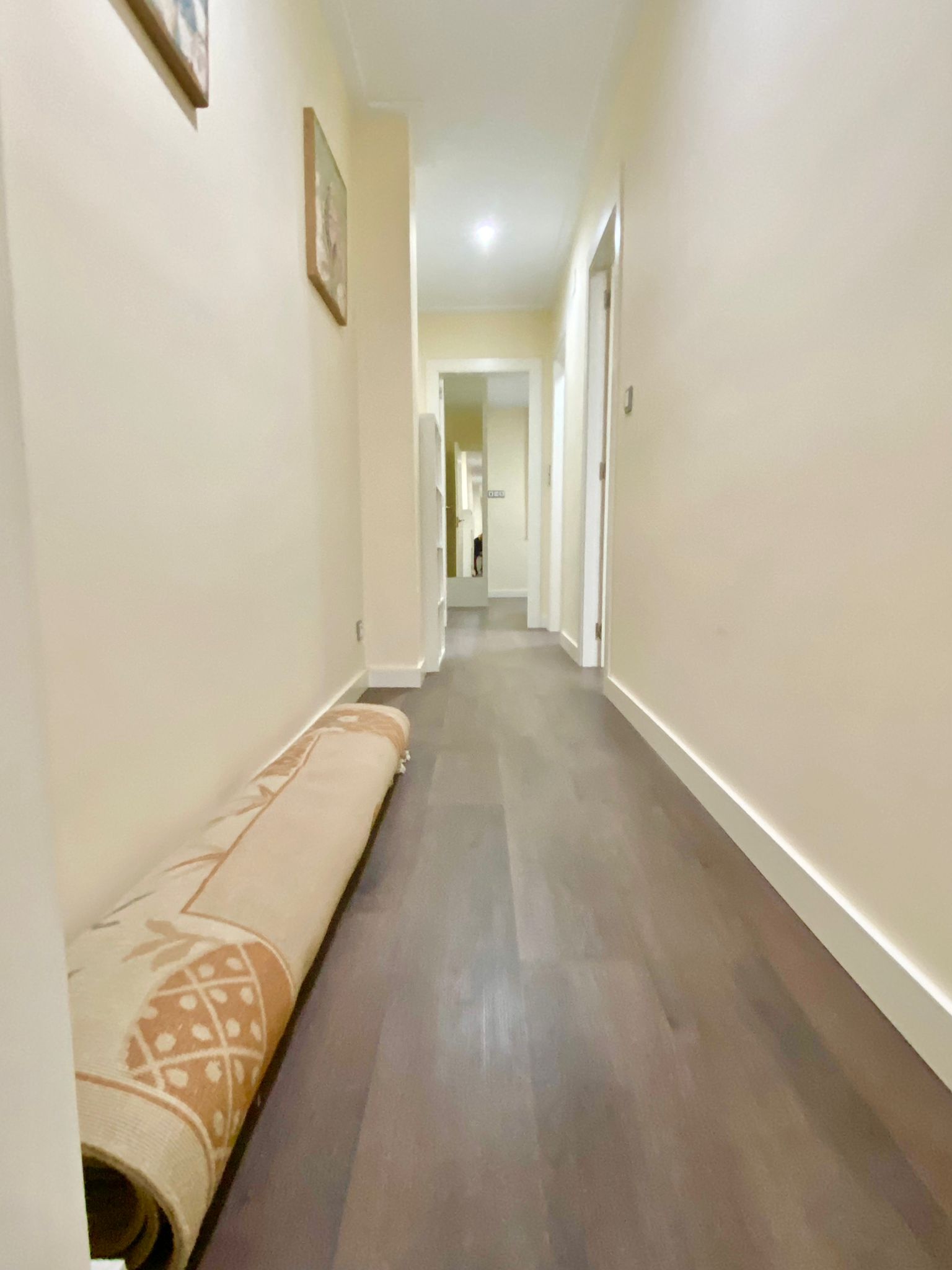 PHOTO-2023-05-24-16-41-30 (1)