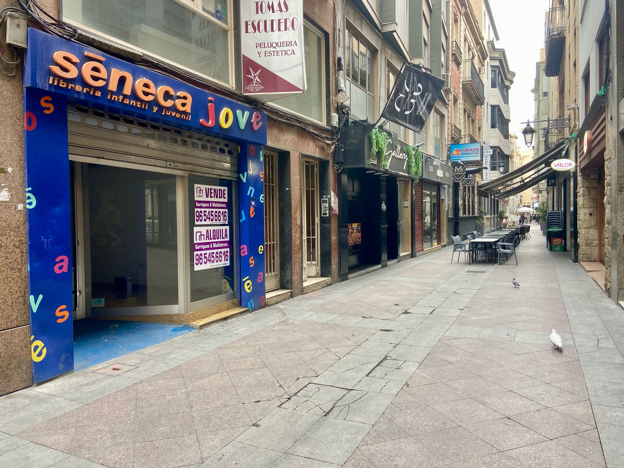 PHOTO-2025-03-07-16-50-00