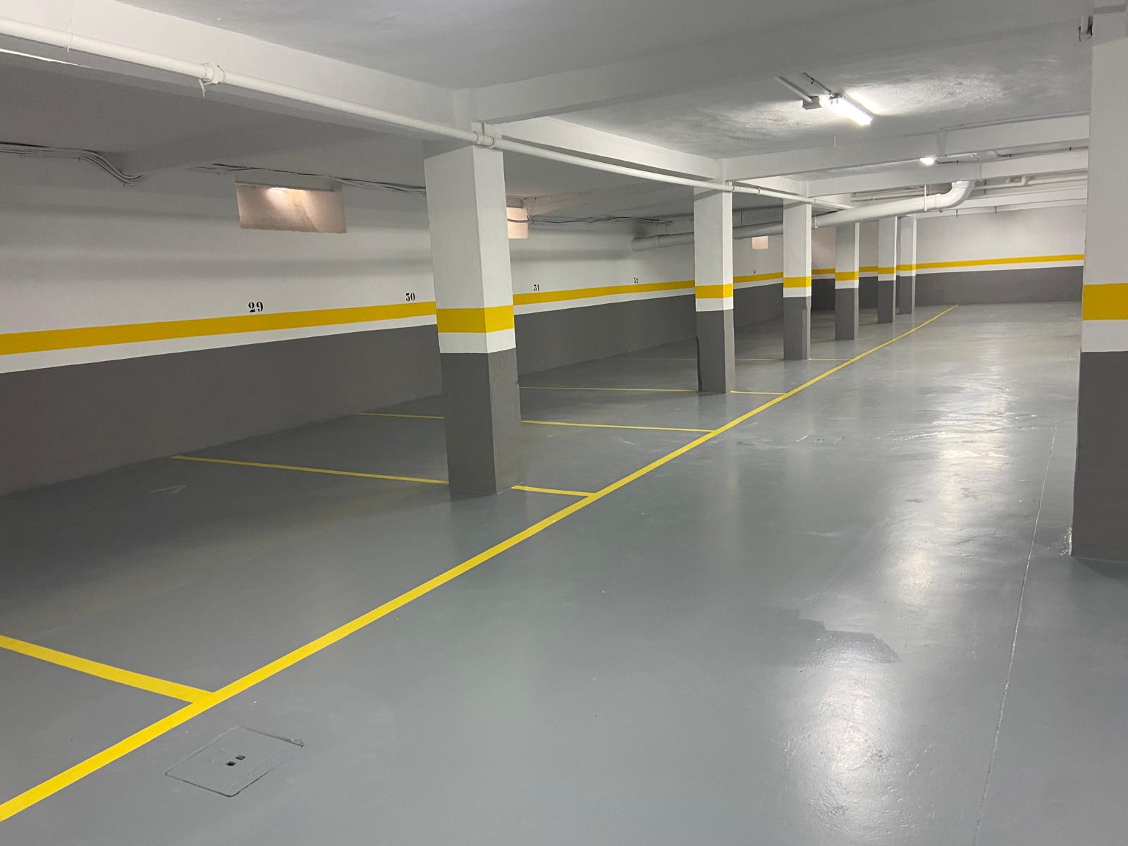 PHOTO-2025-03-17-11-08-39