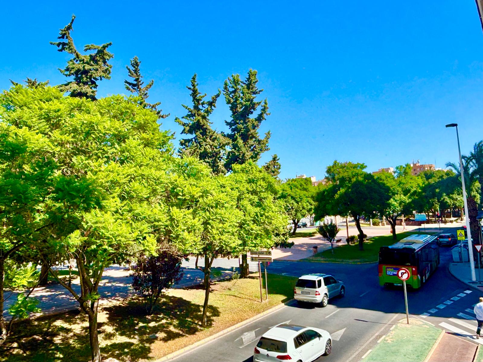 PHOTO-2025-09-01-12-20-03 (4)